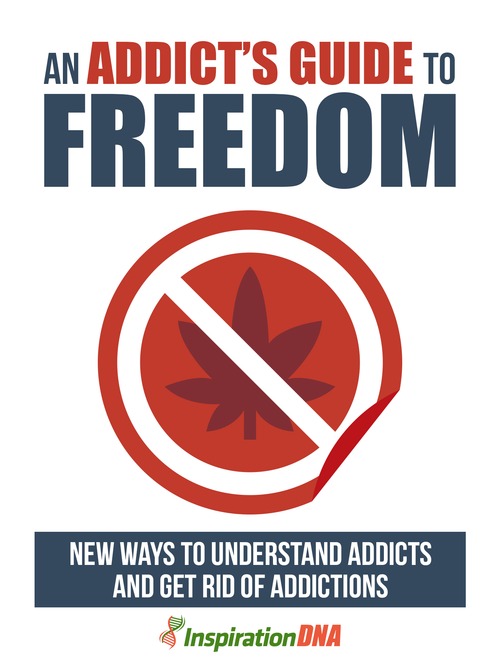 Product picture An Addicts Guide To Freedom